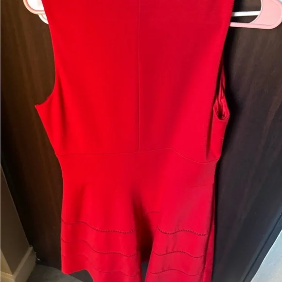 Vibrant Red Mini Dress - Picture 4 of 4